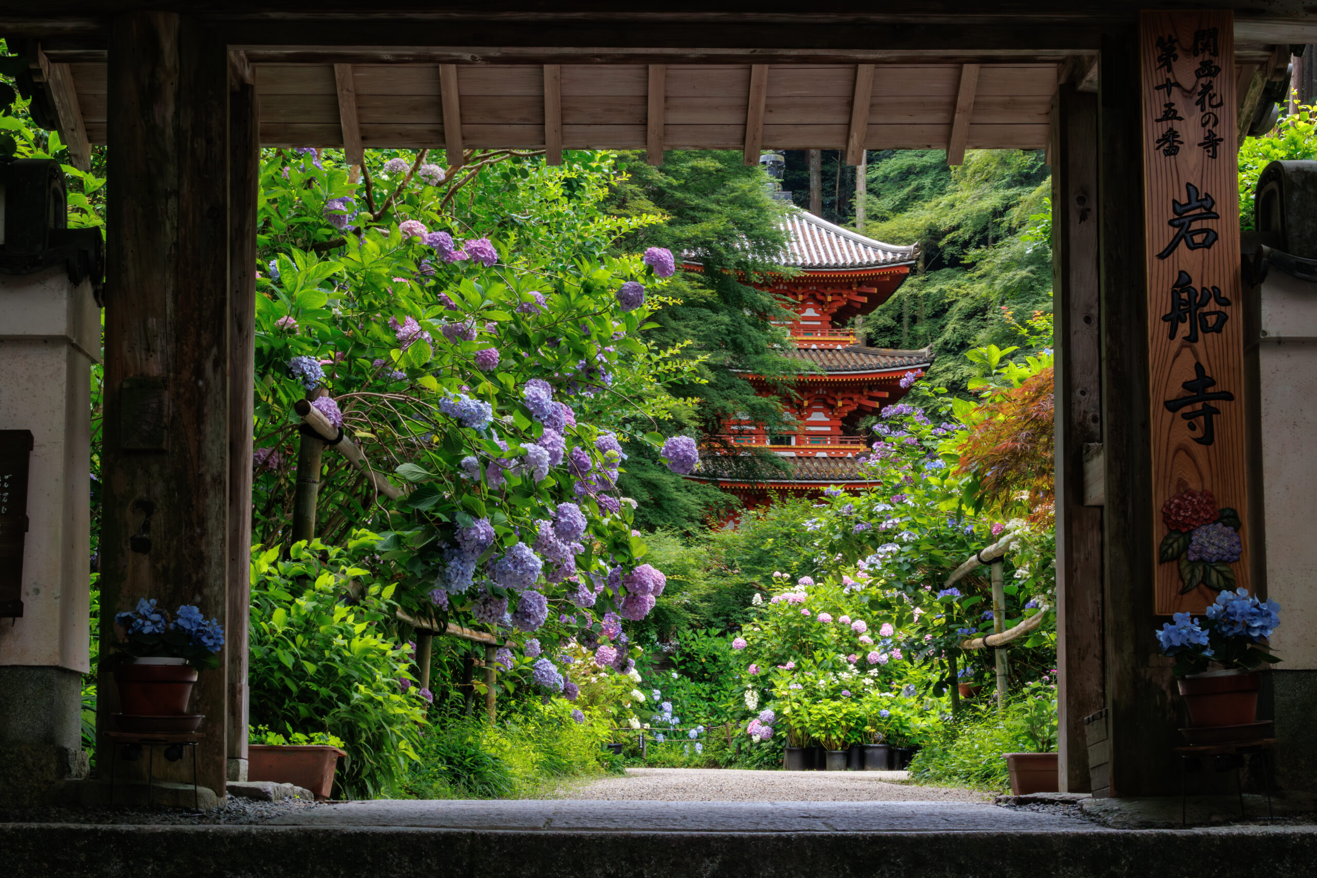 複製/tadashi.N/龍安寺/庭園図/京都/石/風景/布袋屋掛軸HJ-699 複製/tadashi.N/龍安寺/庭園図/京都/石/風景/布袋屋掛軸HJ-699